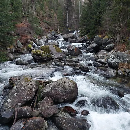 Guest house Ostrva 3*