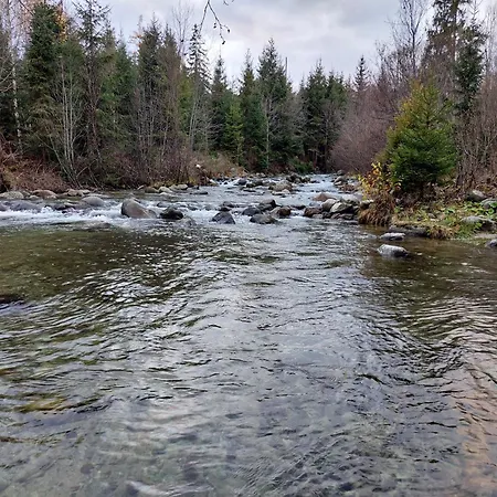 Guest house Ostrva 3*