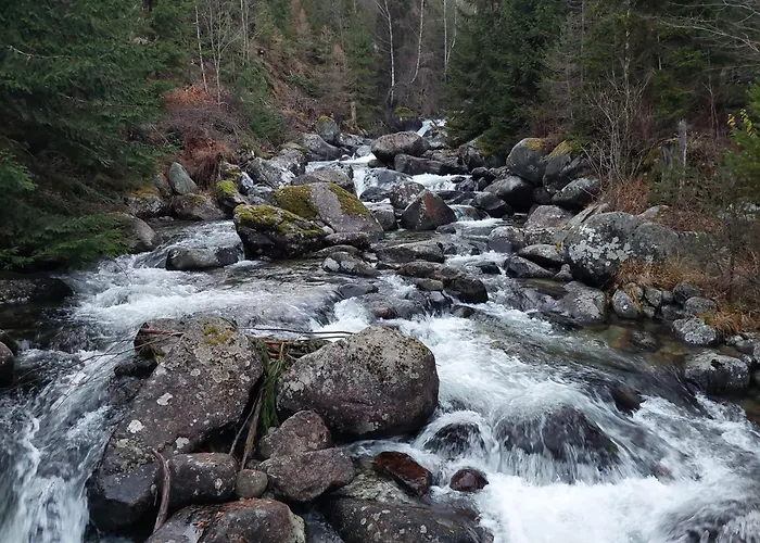 Guest house Ostrva 3*